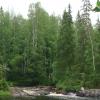 Карелия. ЛЕс