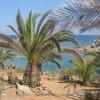 Крит. Пальмы