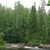 Карелия. ЛЕс