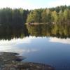 Вуокса.Вид