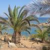 Крит. Пальмы